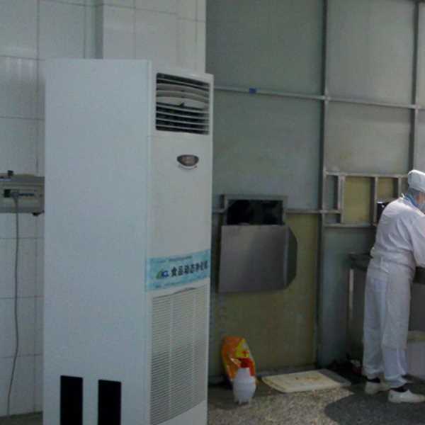 大庆食品正负离子空气杀菌器